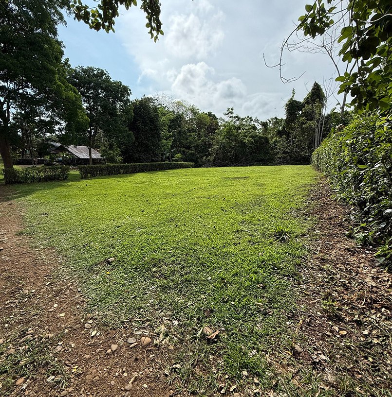 Arenal Arenal