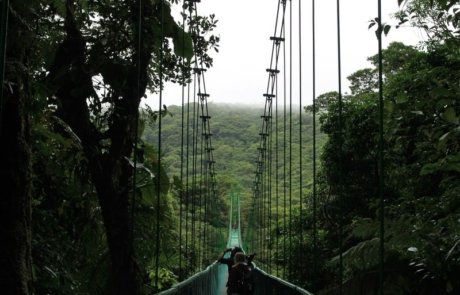 Bridge