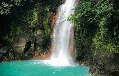 Selva Capital - Proyecto Rio Celeste Waterfalls