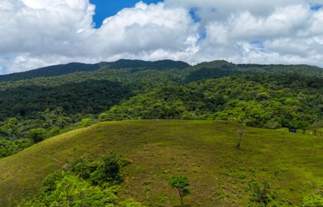 Selva Capital - Proyecto Rio Celeste