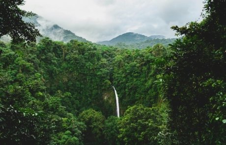 Waterfalls