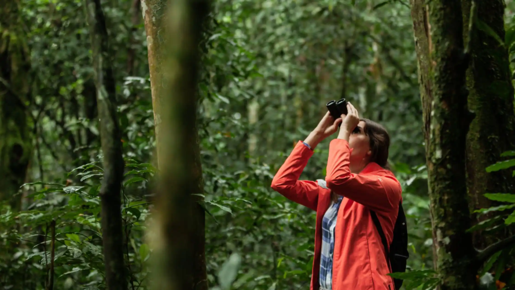 turista observando aves
